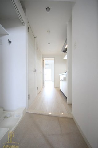 スプランディッドキャトル