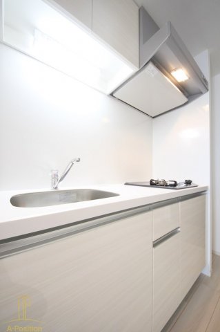 スプランディッドキャトル