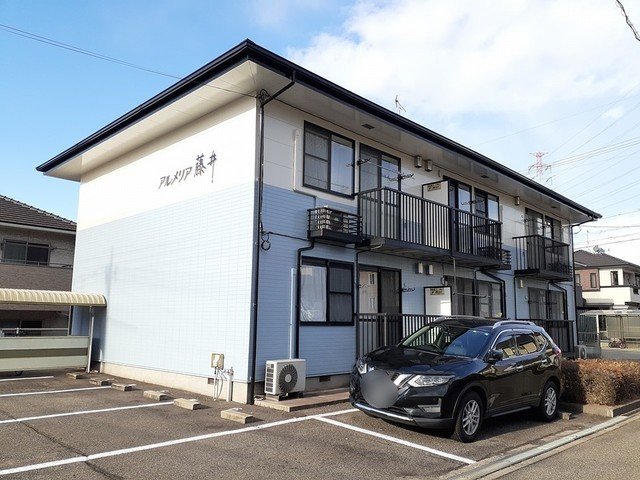 アルメリア藤井