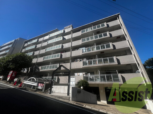 ハイツ雲雀丘の外観