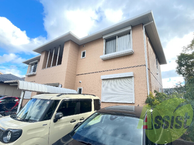 ペリウィンクルの外観