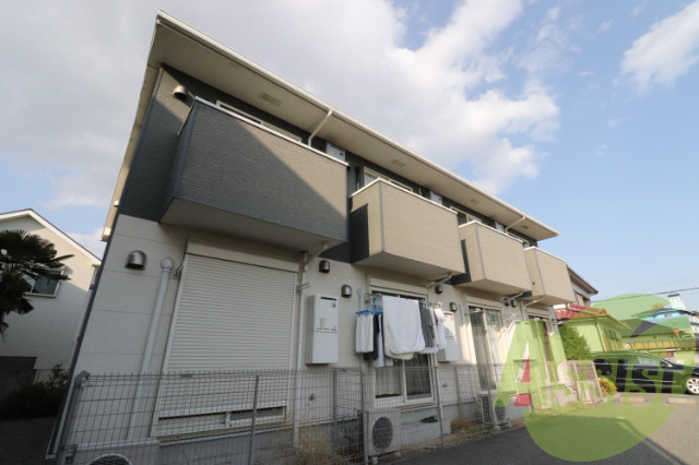 ドゥムールストレチアの外観