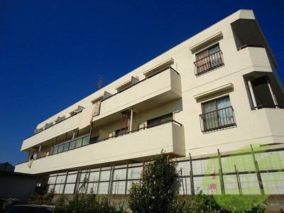 ドゥエルミユキ(レディース)