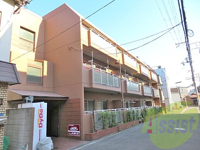 アペックス15