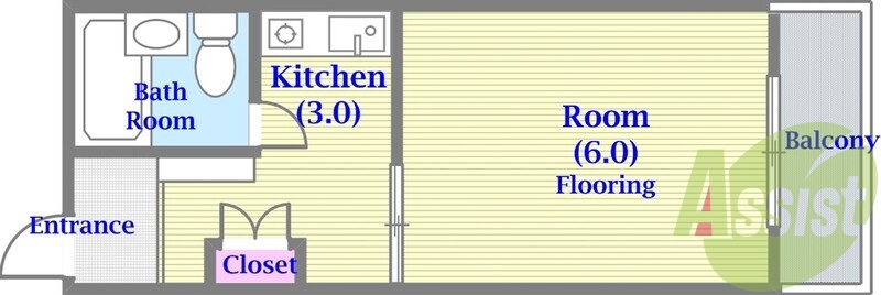 セパレートでバルコニーが広い単身さん向けの間取りです。