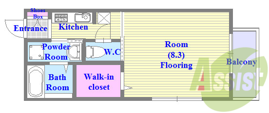 セパレートでリビングが広い単身さん向けの間取りです