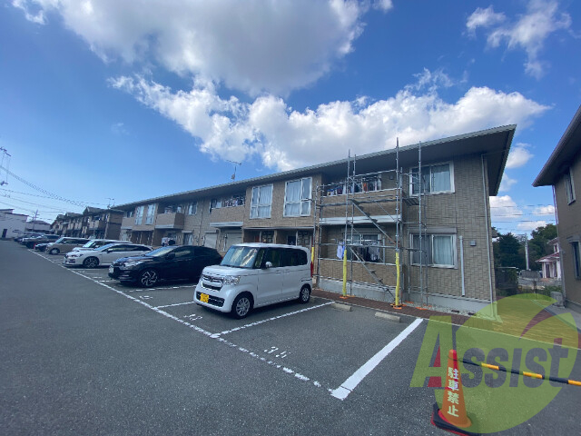 サワーフローラ