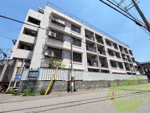 外観 外観