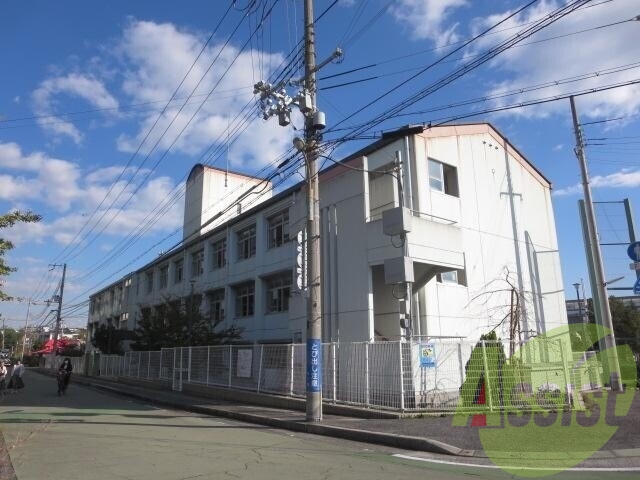 神戸市立西郷小学校 303m 神戸市立西郷小学校 303m