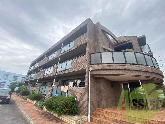 ピュア・プルーンの外観