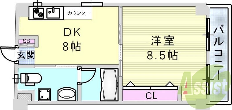 1DK、洋室10帖のゆとりのある間取り