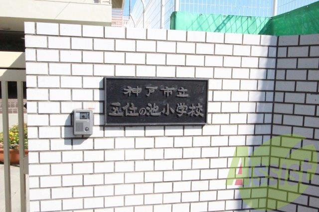 神戸市立五位の池小学校 179m 神戸市立五位の池小学校 179m