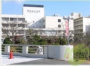 神戸女子大学 7054m 神戸女子大学 7054m