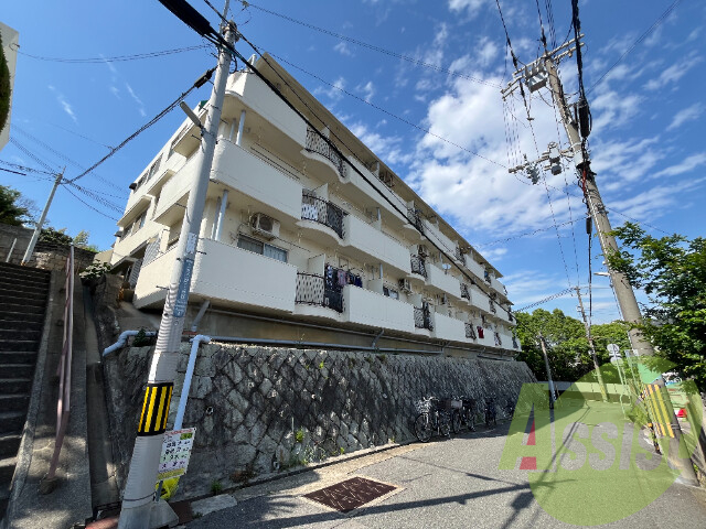 外観 外観