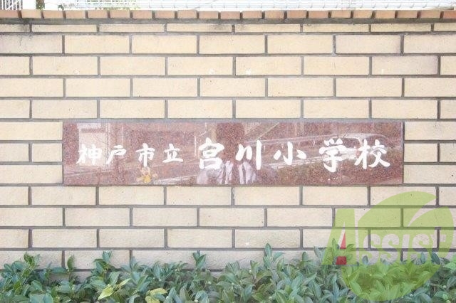 神戸市立宮川小学校 977m 神戸市立宮川小学校 977m