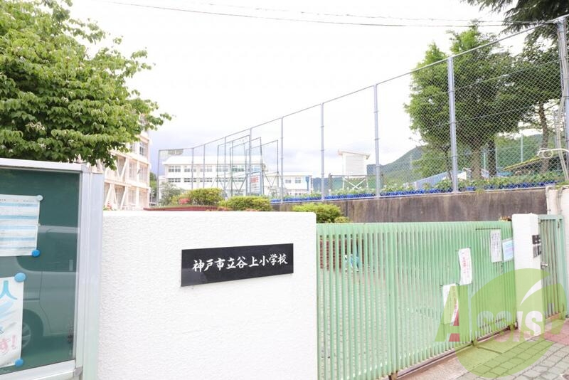 谷上小学校 700m 谷上小学校 700m