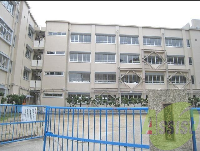 千代ヶ丘小学校 589m 千代ヶ丘小学校 589m