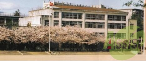 垂水中学校 650m 垂水中学校 650m