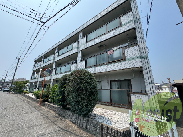 NONOYA1