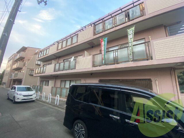 マニーフィーコ＆アルファ