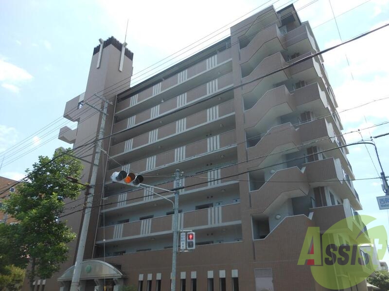 ＩＶＹ ＨＥＩＧＨＴＳの外観