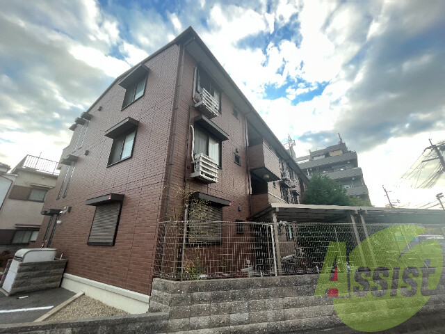 グレイス コスモス