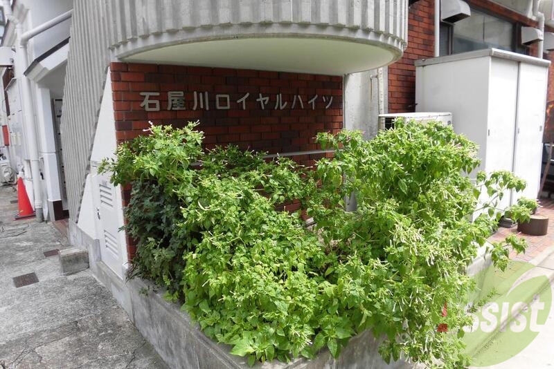 緑がいい感じ 緑がいい感じ