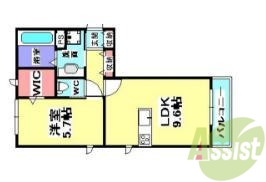 独立したカウンターキッチンは明るくて、ゆったりしています。