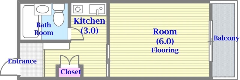セパレートでバルコニーが広い単身さん向けの間取りです。