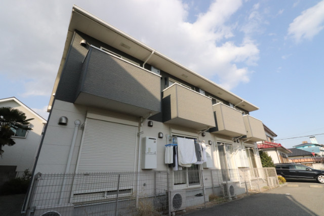 ドゥムールストレチアの外観