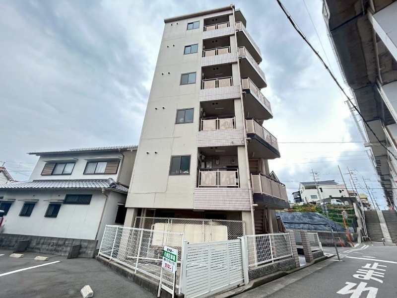サニーグリーン