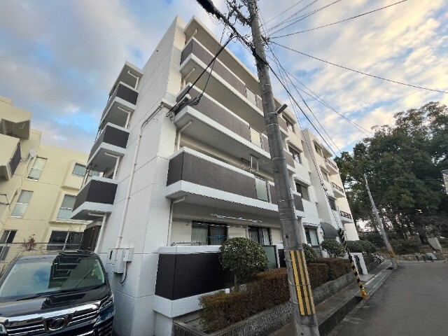 パープルツィン園田