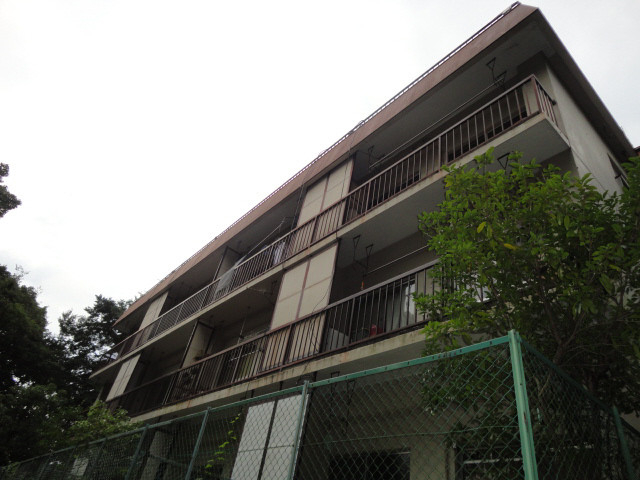 外観 外観