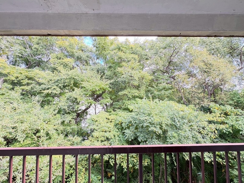 その他 その他