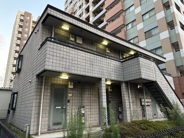 オリーブの外観