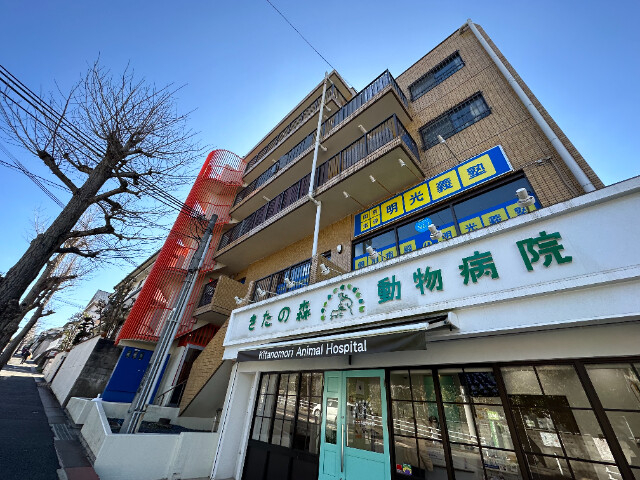 ゲルメンハイツの外観