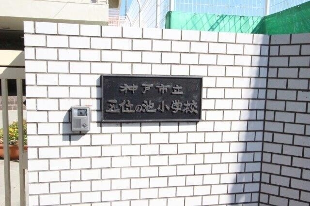 神戸市立五位の池小学校 308m 神戸市立五位の池小学校 308m