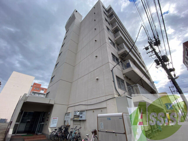 ドミ山鼻の外観