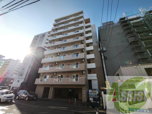 セントポーリアカルーア