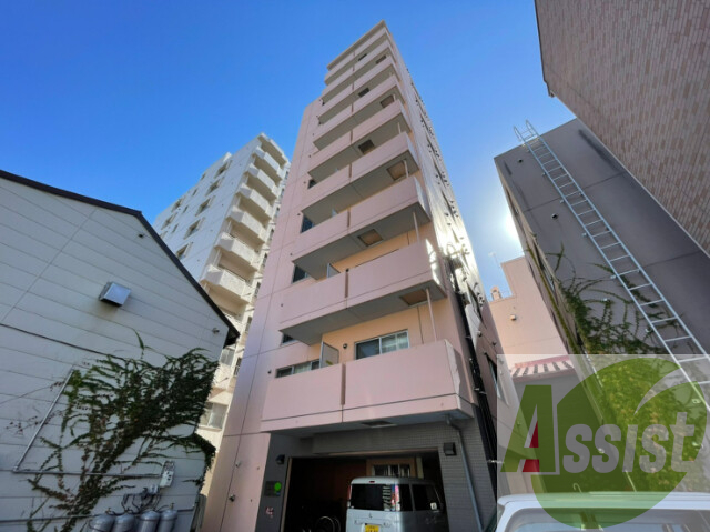 アイビーパレス52の外観