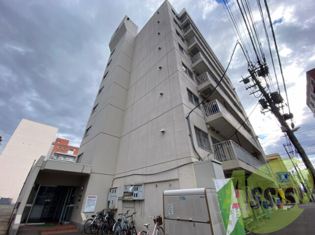 ドミ山鼻の外観