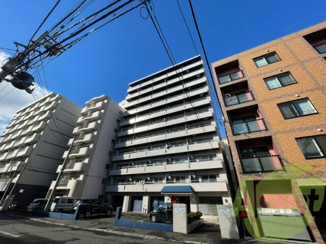 ドミローレル第11