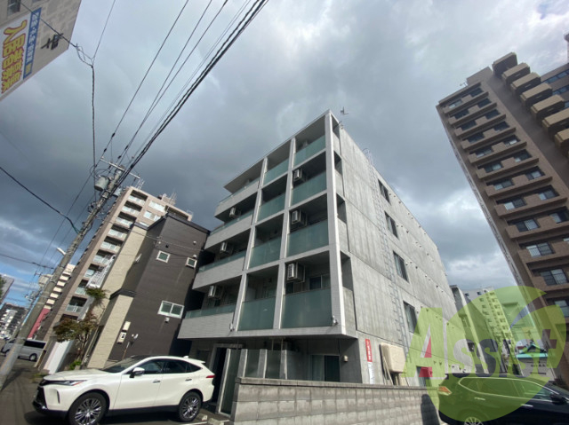 ミカーサ13