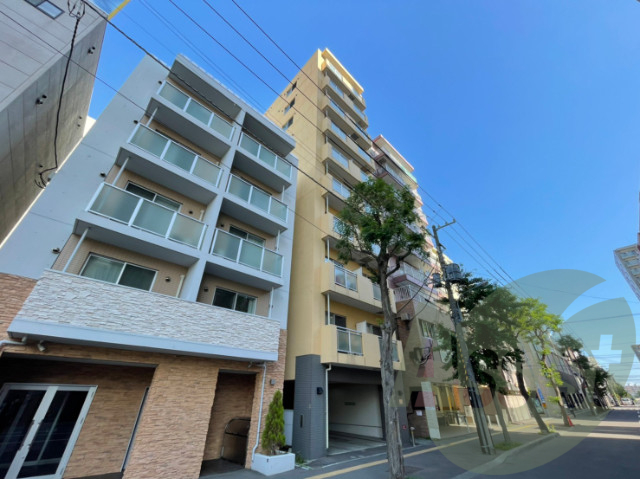 アイビーパレス31