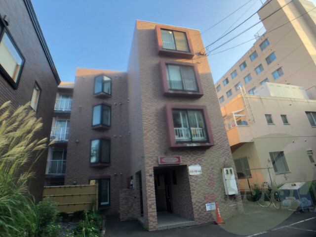 オルセーN19の外観