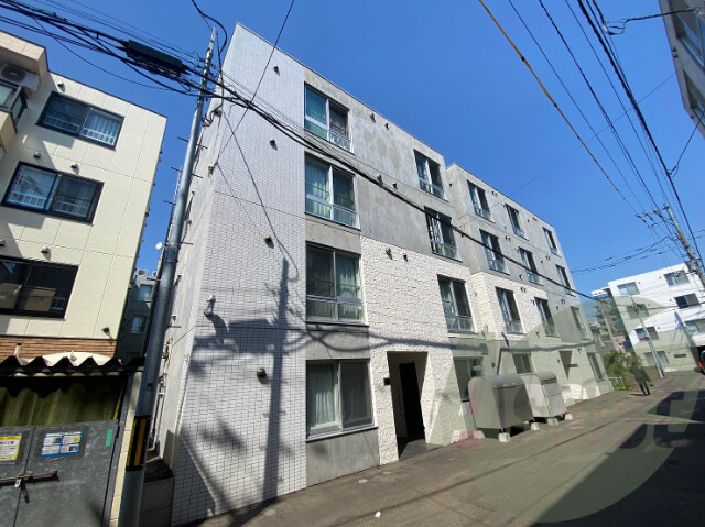 pinocollina710の外観