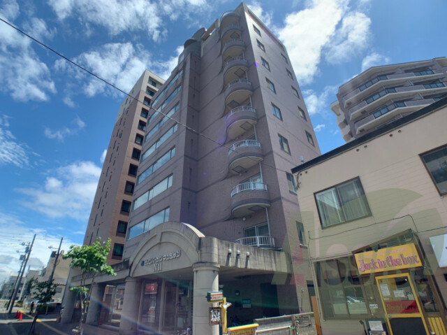 ビッグバーンズマンションN11の外観