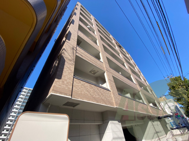 SOUTHERN CROSS 313の外観