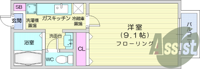 1K、BSアンテナ、室内洗濯機置場、ロフト