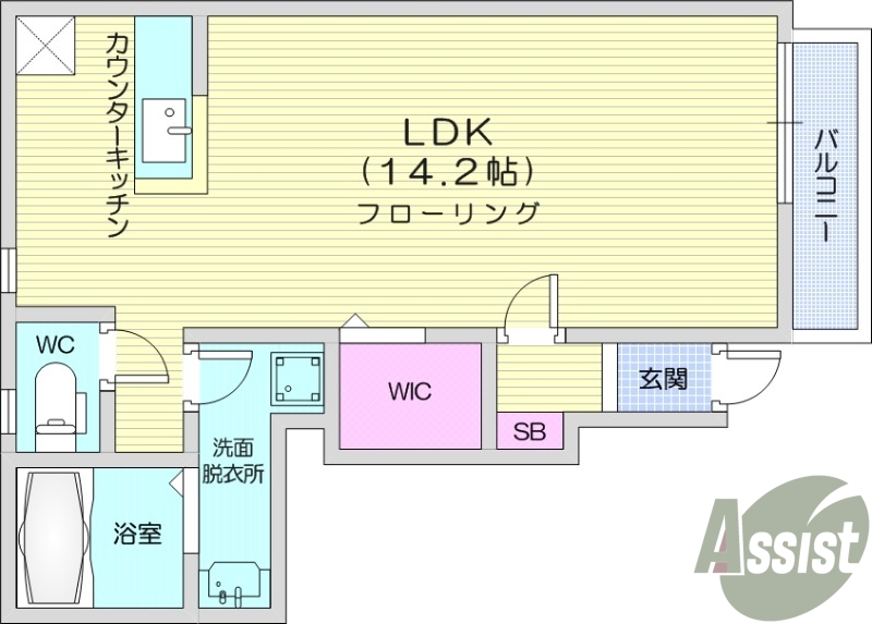 1R、バルコニー、南向き、ウォークインクローゼット
